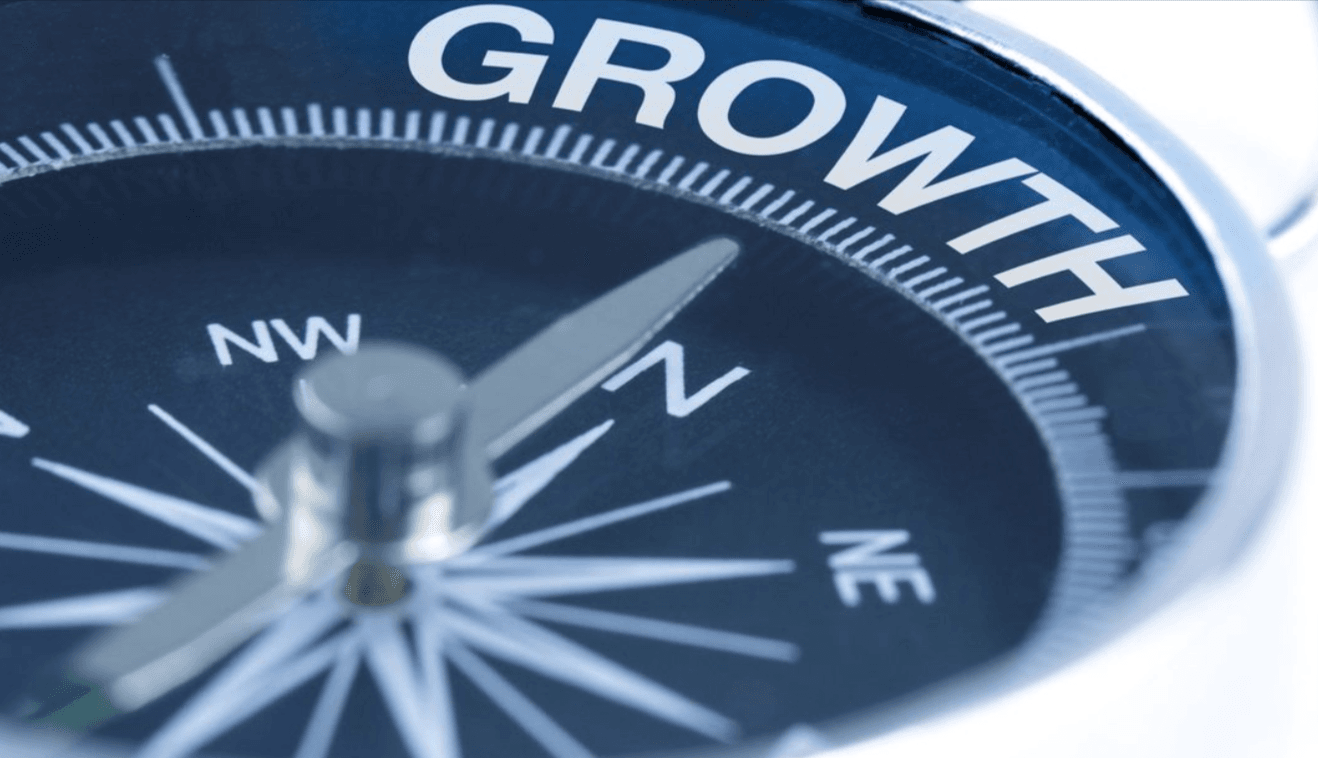 Cost-Effective Business Growth