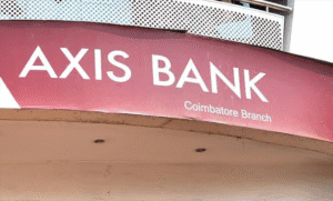 Axis Bank Net Worth