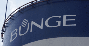 Bunge Limited Company Net Worth